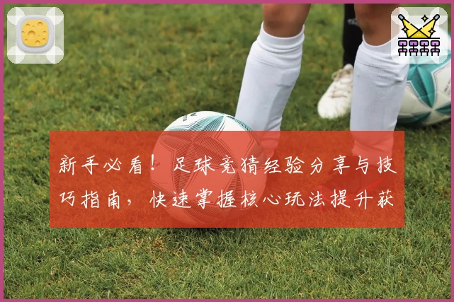 新手必看！足球竞猜经验分享与技巧指南，快速掌握核心玩法提升获胜概率