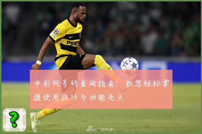 中彩网号码查询指南:教您轻松掌握使用技巧与功能亮点