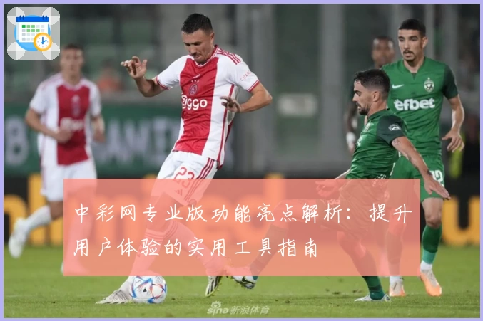 中彩网专业版功能亮点解析:提升用户体验的实用工具指南