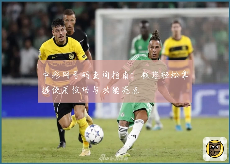 中彩网号码查询指南：教您轻松掌握使用技巧与功能亮点