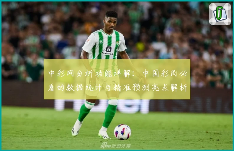 中彩网分析功能详解：中国彩民必看的数据统计与精准预测亮点解析