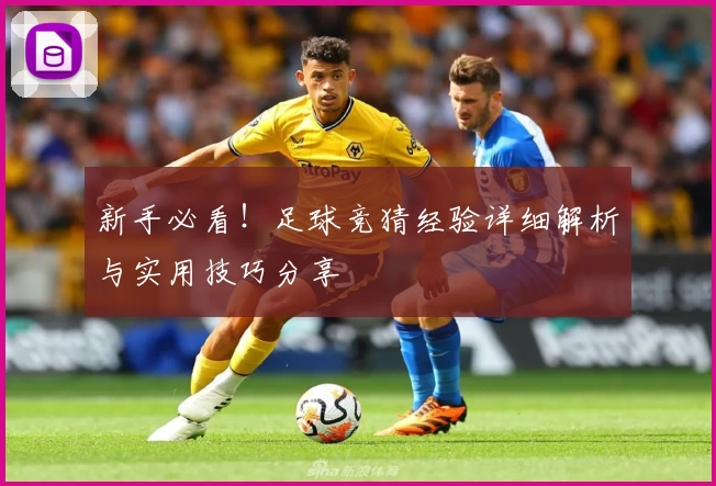 新手必看！足球竞猜经验详细解析与实用技巧分享