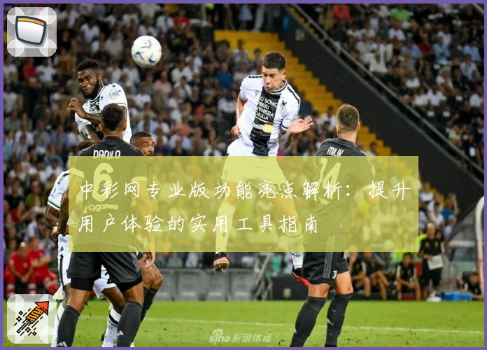 中彩网专业版功能亮点解析：提升用户体验的实用工具指南