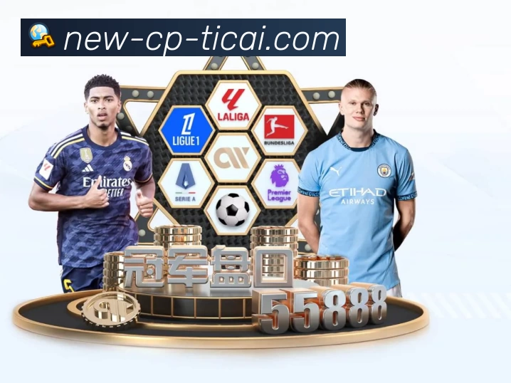 体育平台欢迎图